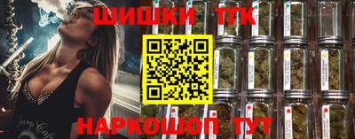 гидра Гатчина