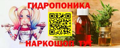 гидра Гатчина
