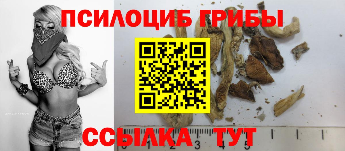 Галлюциногенные грибы Psilocybe Мытищи